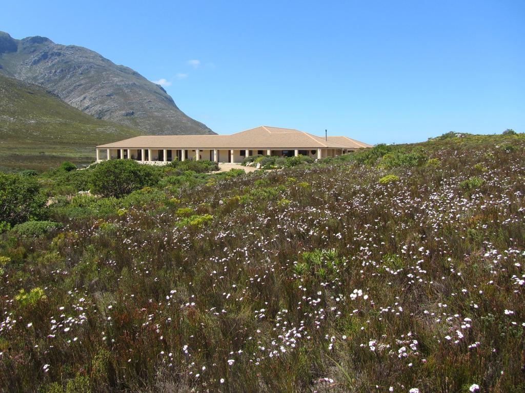 Kapensis Guesthouse Pringle Bay Exterior foto